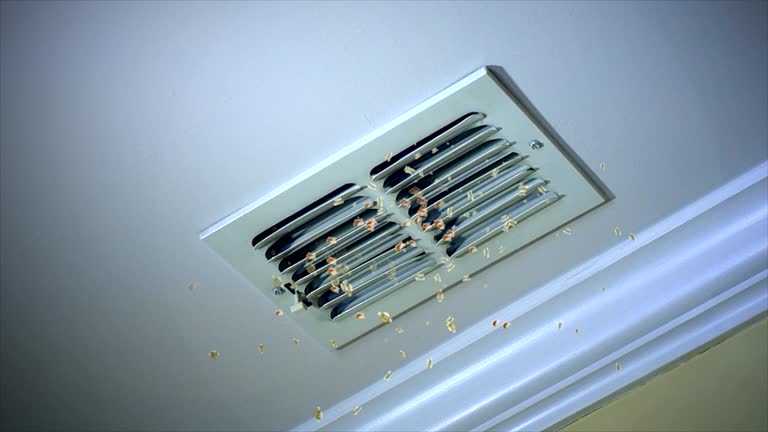 Best Best Air Duct Cleaning Company  in Hobart, WI