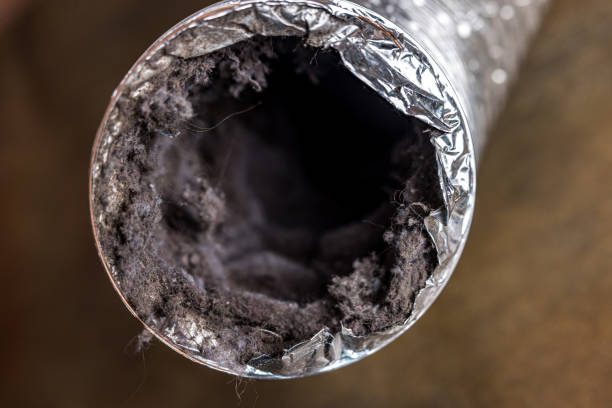 Best Commercial Air Duct Cleaning  in Hobart, WI